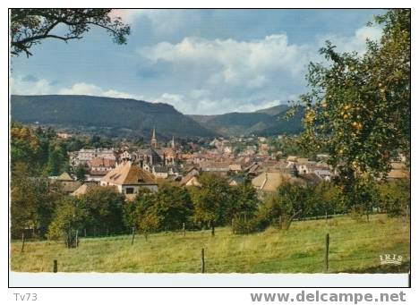 Cpc 038 - NIEDERBRONN-les-BAINS  - La Ville (67 - Bas Rhin) - Niederbronn Les Bains