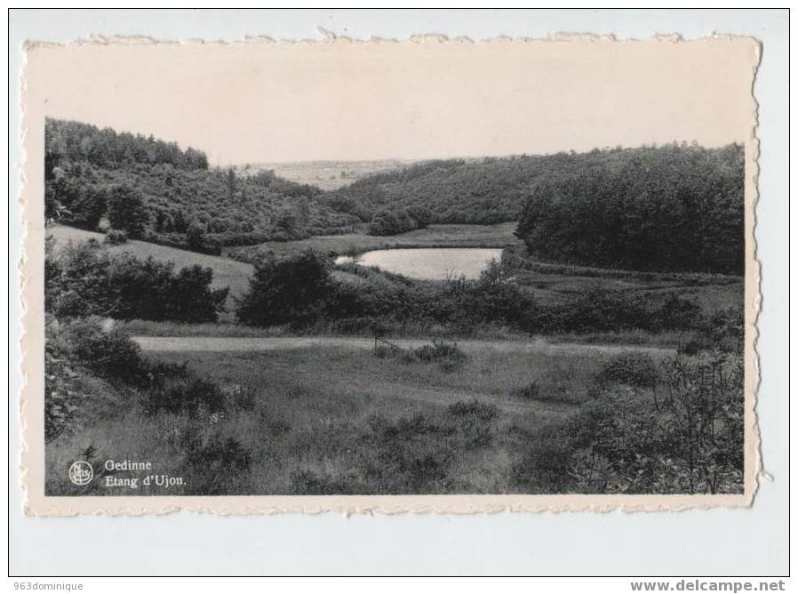 Gedinne - Etang D'Ujou - Gedinne