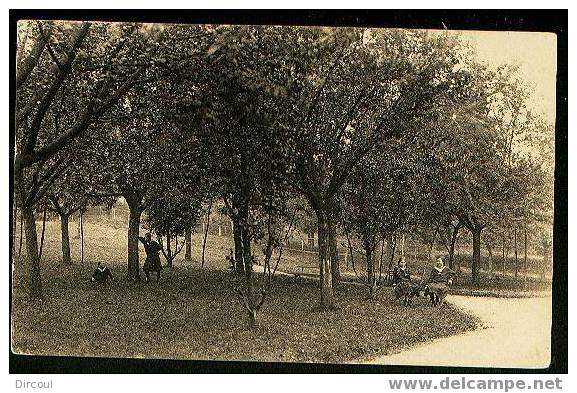 6133 - Fouron-le-comte  Pensionnat Des Ursulines   UNE PARTIE DU PARC - Voeren