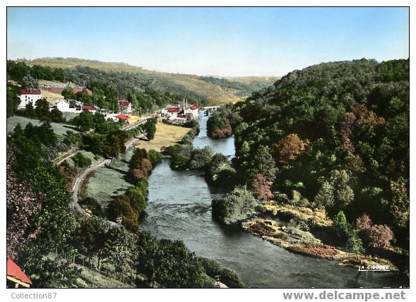 87 - HAUTE VIENNE - ST PRIEST TAURION - BELLE VUE D'ENSEMBLE - USINE De La ROCHE - CIGOGNE 87-178-16 - Saint Priest Taurion