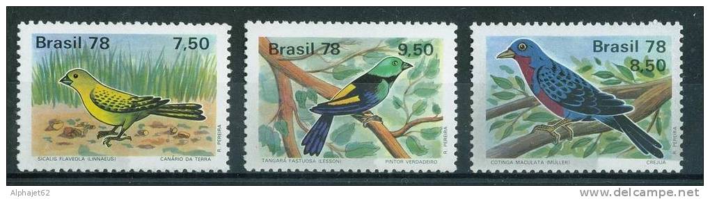 Faune - OISEAUX - BRESIL - Protection De La Nature - N° 1310 à 1312 ** - 1978 - Nuovi