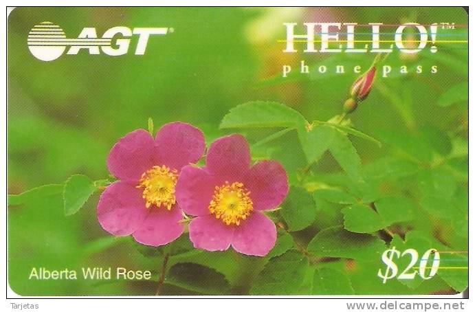 TARJETA DE LA COMPAÑIA HELLO! DE FLORES WILD ROSE, ALBERTA DE 20$ - Canada