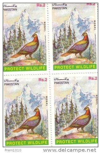 HIMALAYAN BIRDS- MONAL PHEASANT- PAKISTAN- Himlayan-Glanzfasan Fasan - Gallinacées & Faisans
