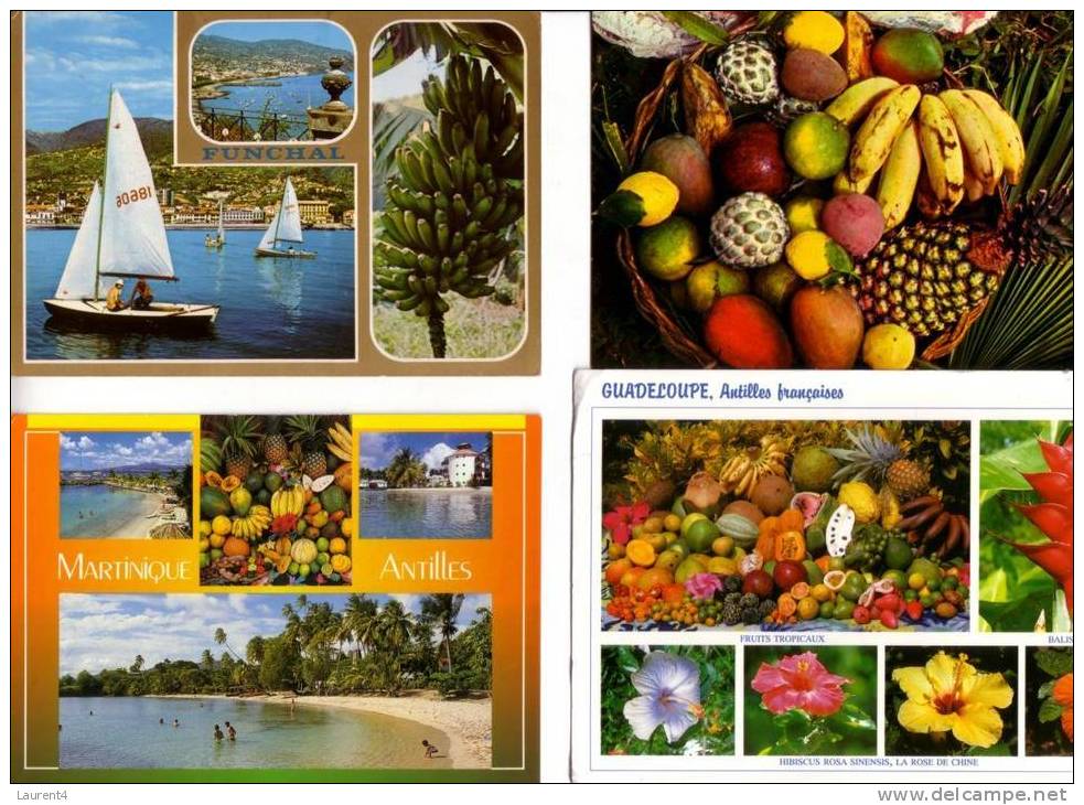 4 Cartes De Banane / 4 Postcard On Banana - Cultivation