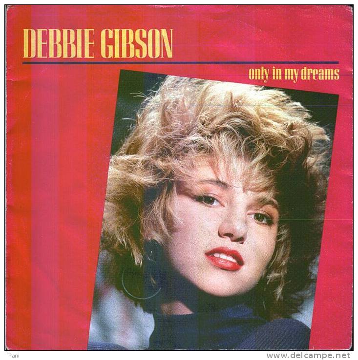 DEBBIE GIBSON - Toebehoren En Hoezen