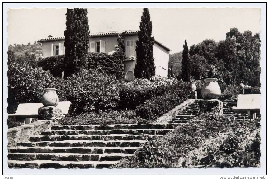 83 - Le Rayol : Escalier Fleuri Conduisant à La Plage - Rayol-Canadel-sur-Mer