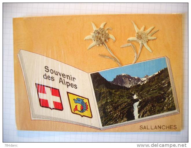 Sallanches - Souvenir Des Alpes  Ed.André -Grenoble Voir Scan - Rhône-Alpes