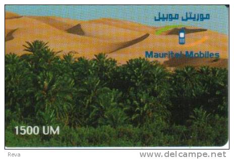 MAURITANIA  1500 U  PALMS OASIS LANDSCAPE  GSM  MOBILE ED.31/12/01  READ DESCRIPTION !! - Mauritanie