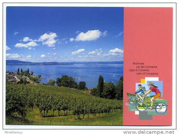 ENTIER POSTAL / STATIONERY / SUISSE BODENSEE LAC DE CONSTANCE VELO - Wielrennen