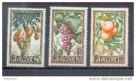 ALG 103 - YT 279/81 * - Unused Stamps
