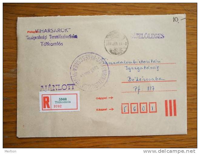 Hongrie Hungary Ungarn Courrier Moderne, Cover, Local Franking D5245 - Lettres & Documents