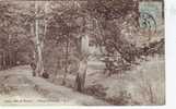 BOIS DE   CLAMART    ETANG DE TRIVAUX N°1923 - Clamart