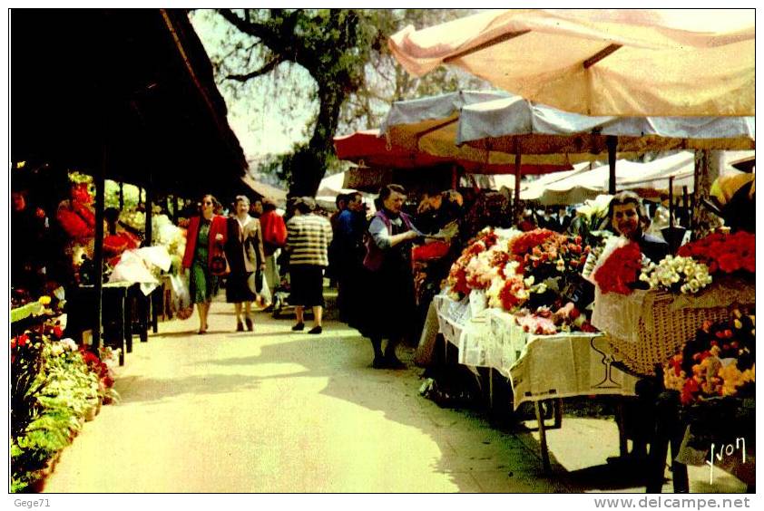 Nice - Le Marche Aux Fleurs - Markets, Festivals