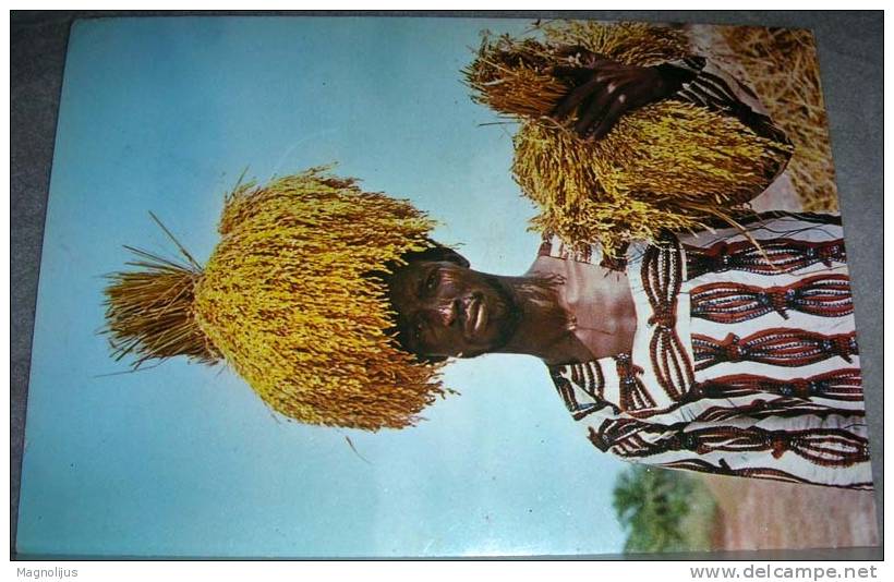 Africa,Republique De Guinee,Folklore,Customs,People,postcard - Guinea