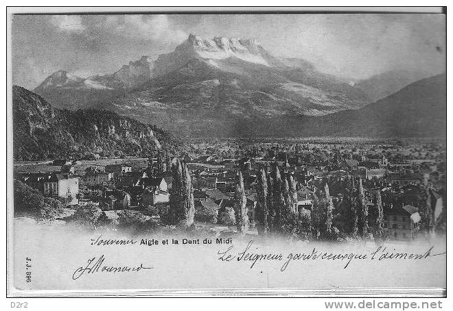 Aigle Et Les Dents Du Midi. (3) - Aigle