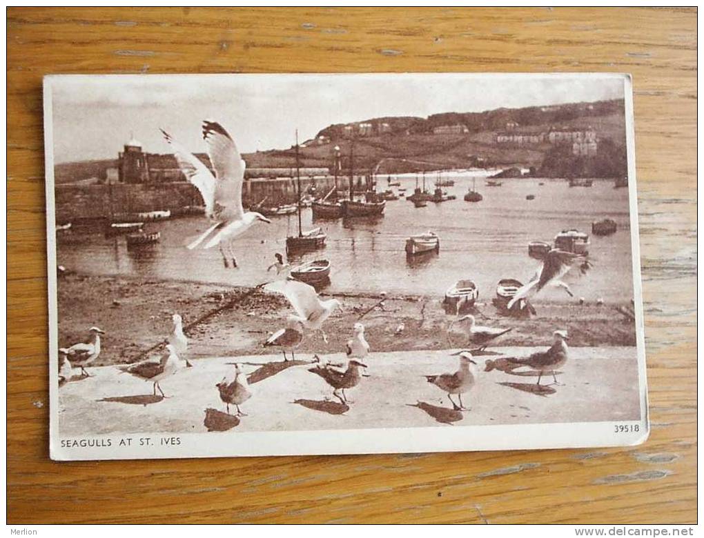 St Ives ,  Seagulls  ,  Cca 1940´s  VF+   D7521 - St.Ives