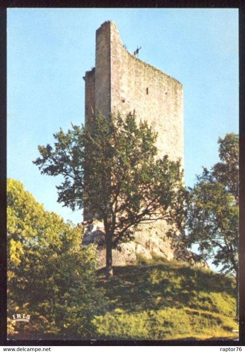 CPM Neuve 46 MONTCUQ  La Tour Du XII ème Siècle - Montcuq