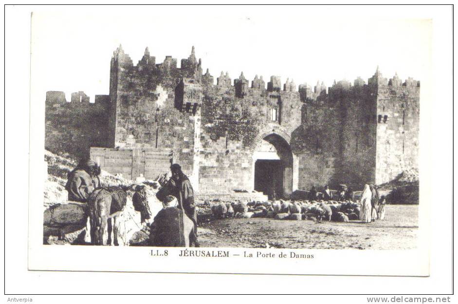 JERUSALEM La Porte De Damas  (carte Vierge) - Palestine
