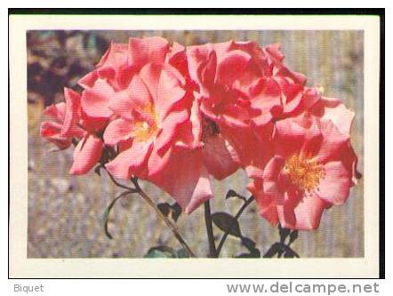 Bel Entier Carte Postale Russe Sur Les Roses (16) - Rosen