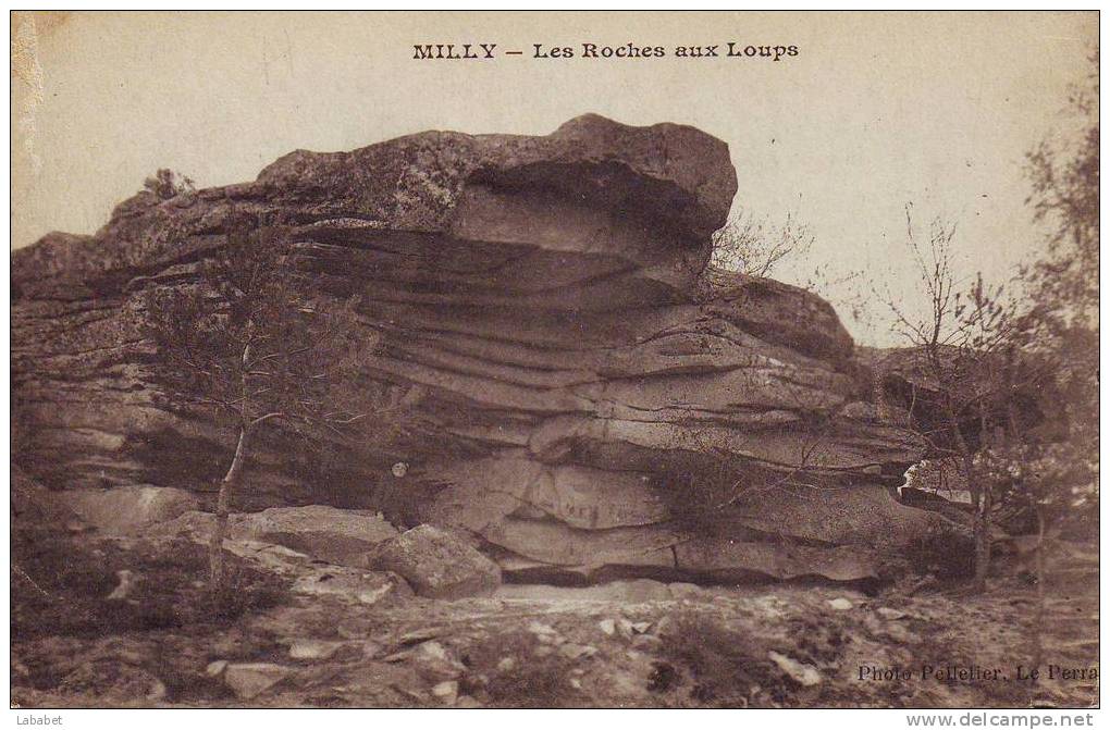 MILLY  LES ROCHES AUX LOUPS - Milly La Foret