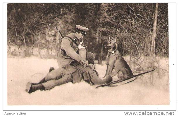 CHIENS SANITAIRES DE LA CROIX ROUGE ALLEMANDE 1914/18 - Croix-Rouge