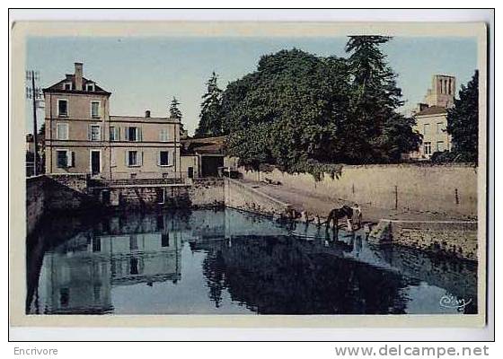 Cpa DOUE LA FONTAINE Le Bassin Aux Chevaux - Cheval Qui S'abreuve - CIM Jolie Carte Couleur - Doue La Fontaine