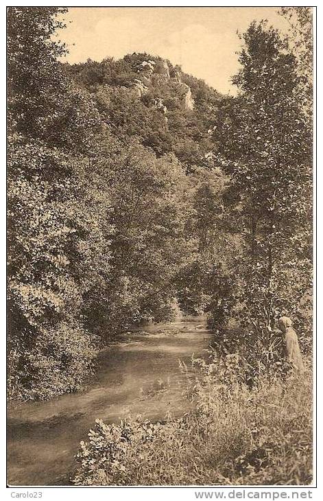 FALAEN  :  VALLEE  DE  LA  MOLIGNEE  - GRAND  HOTEL  DE  LA  MOLIGNEE - Anhée