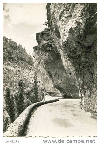 221 Les Gorges Du Tarn Les Rochers Surplombant La Route - Florac