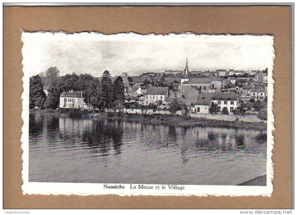 NAMECHE MEUSE ET VILLAGE - Andenne