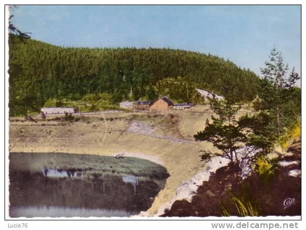 Les Hautes Vosqges -  LAC NOIR - N° 1192 - Lorraine