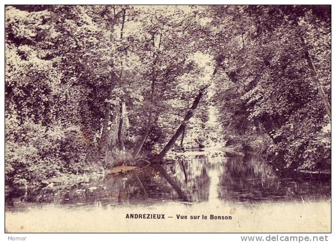 ANDREZIEUX Vue Sur Le Bonson - Andrézieux-Bouthéon