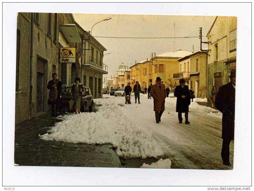Felonica Po Mantova - Splendida 1970 Animata - Mantova