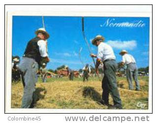 Cpm Le Battage Au Fléau Normandie - Cultivation