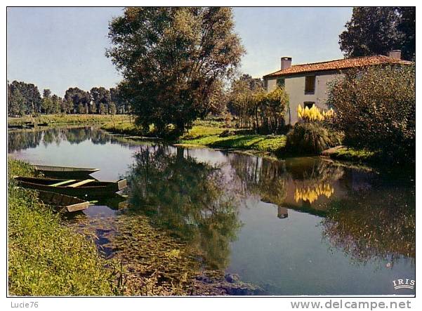 Cathédrale De Verdure - Petite Maison Au Coeur Des Marais - Marais Poitevin - Poitou-Charentes