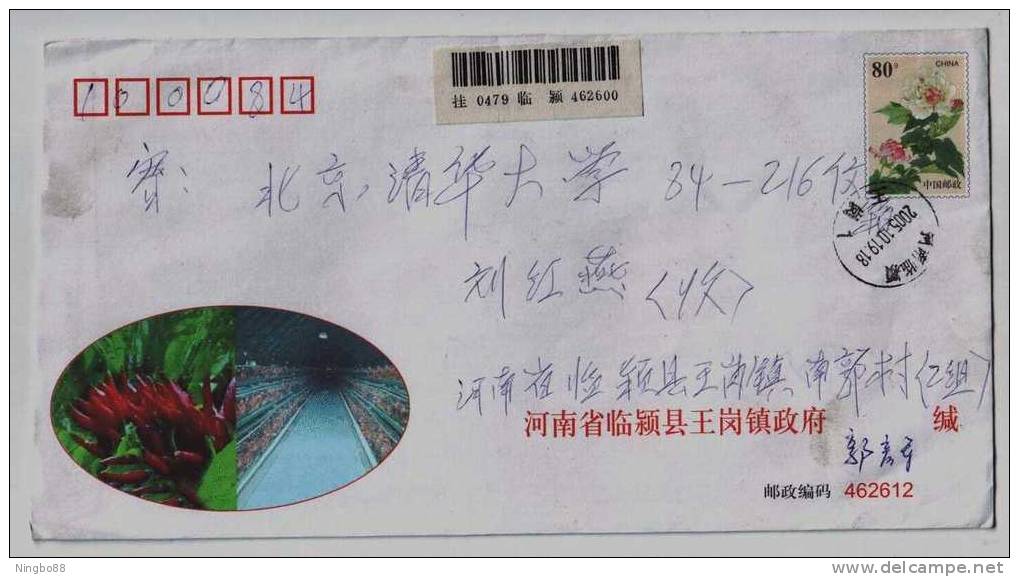 Chicken Breeding Farm,red Capsicum Planting Base,China 2003 Yugang Town Industry Advertising Postal Stationery Envelope - Boerderij