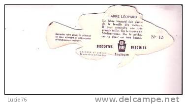 BISCOTTES  - BISCUITS  PARE - SERIE POISSONS - LABRE LEOPARD - N° 12  - Image En Forme De L´animal - Other & Unclassified