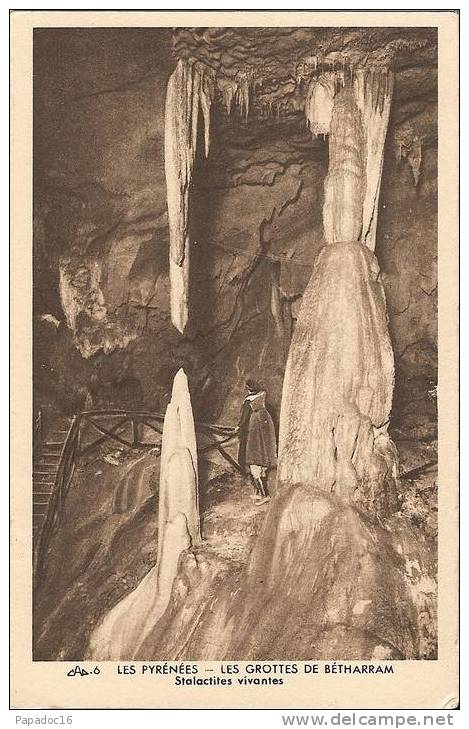 65 - Saint-Pé-de-Bigorre - Les Grottes De Betharram - Stalactites Vivantes - (animée) CAP 6 - Saint Pe De Bigorre