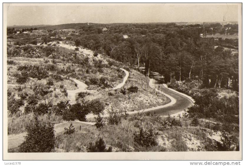 BLOEMENDAAL / PANORAMA VANAF T KOPJE - Bloemendaal