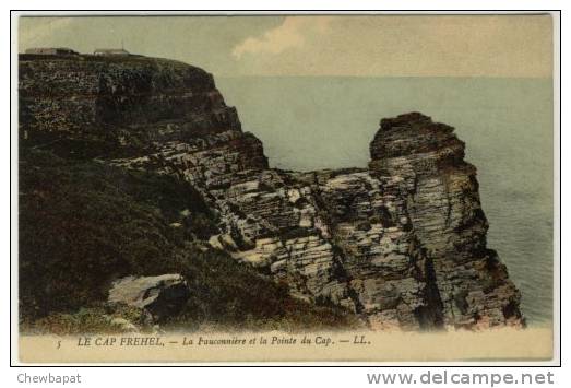 Le Cap Fréhel - La Fauconnière Et La Pointe Du Cap (colorisée)   -  5 - Cap Frehel