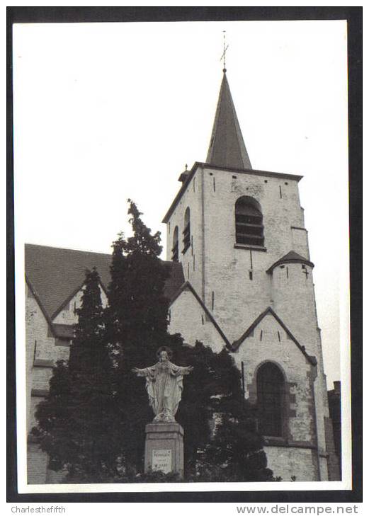 ZELDZAME FOTO " PEPINGEN - KERK  " 14.5 X 10.5 !! - Pepingen