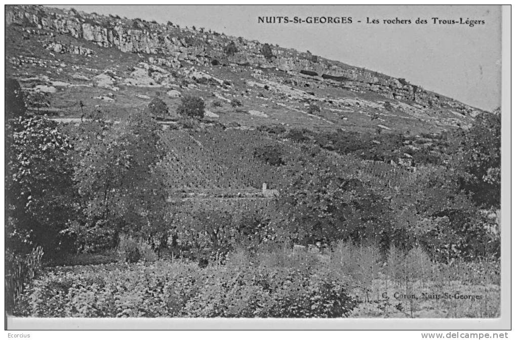 CPA - 21 - NUITS SAINT GEORGES -  LES ROCHERS DES TROUS LEGERS .. - Nuits Saint Georges