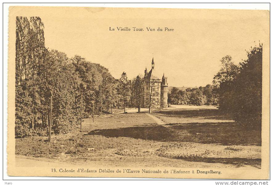 DONGELBERG - La Vieille Tour, Vue Du Parc - Colonie D'Enfants Débiles De L'ONE (875) - Geldenaken