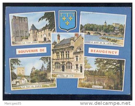 24666 Souvenir De Beaugency édit.artaud N° 104  Belle Cpsm - Beaugency