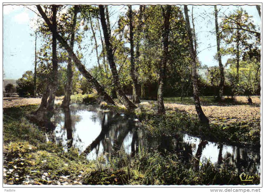 Carte Postale 53. Gorron  Et Les Bords De La Colmont Trés  Beau Plan - Gorron