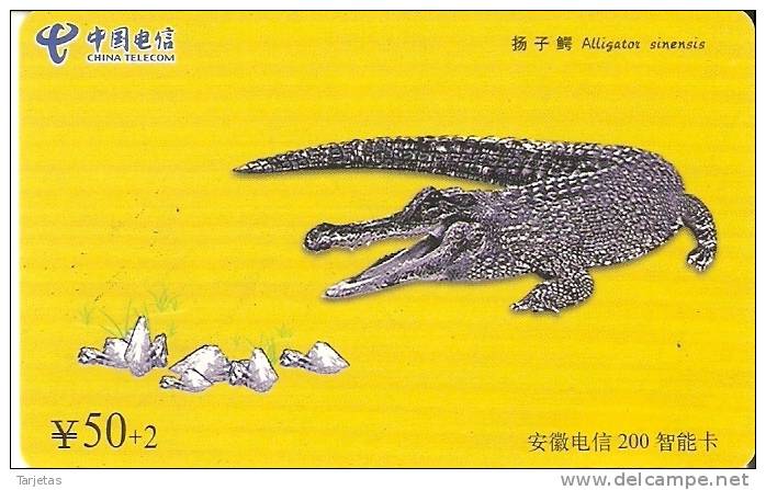 TARJETA DE CHINA DE UN COCODRILO (COCODRILE) - Krokodile Und Alligatoren