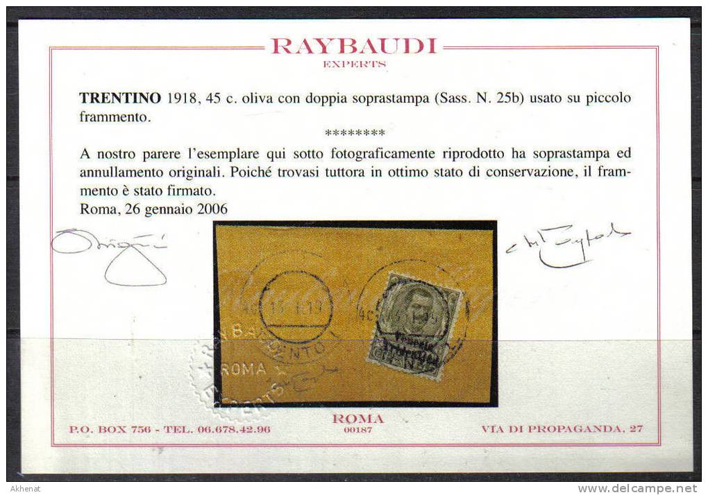 AV1B - TRENTINO ALTO ADIGE : 45 Cent Oliva N. 25  Su Piccolo Frammento. NON COMUNE . Cert RAY - Trento