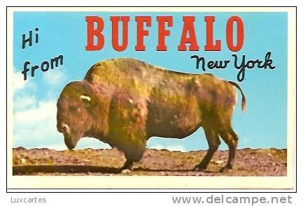 HI FROM BUFFALO .NEW YORK. - Buffalo