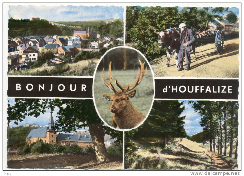 Bonjour D' HOUFFALIZE - Carte 5 Photos ( 647) - Houffalize