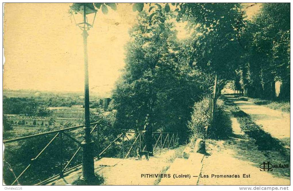 45 PITHIVIERS Les Promenades Est  Joli Plan - Pithiviers