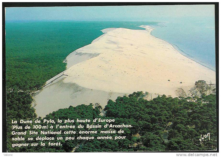 Carte Postale Avec Flamme De GUJAN MESTRAS De 1989 : La Dune De Pyla. Cachet Village "la Hune". - Gujan-Mestras